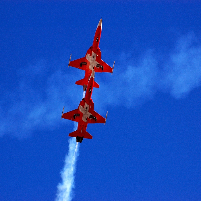 56_Axalp_Patrouille Suisse_F-5E Tiger.jpg